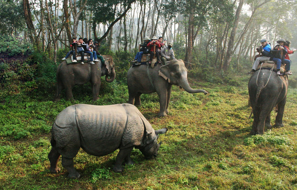 Chitwan National Park